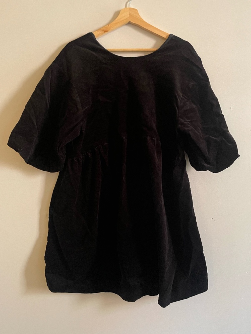 Everlane Corduroy Velvet Babydoll Dress with Scoop back
